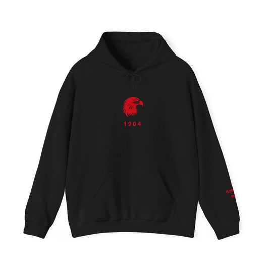 Spirit Eagle Unisex Hoodie with Motto Sleeve Print
