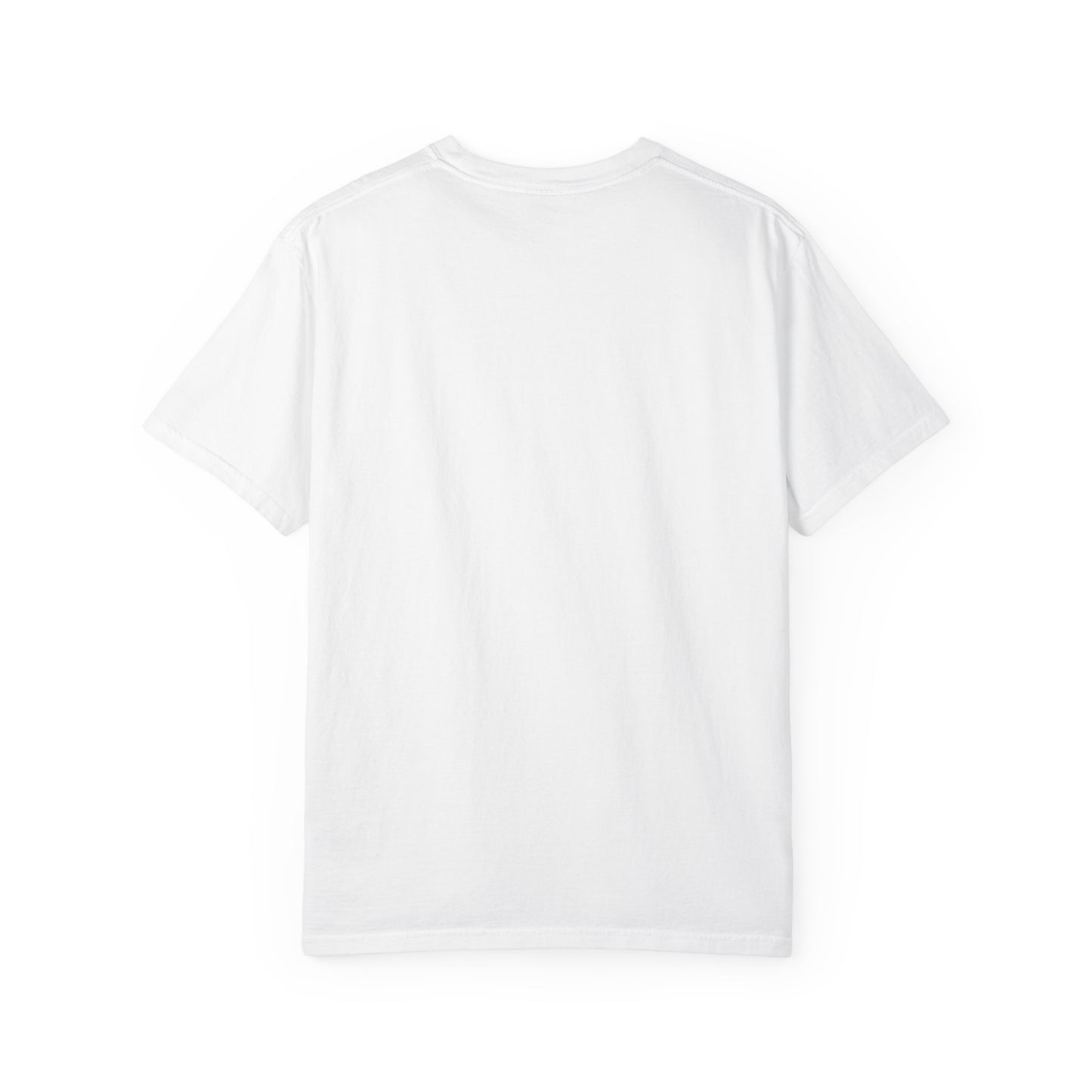 Origins 1893 Unisex Minimal Tee with Dragon Detail