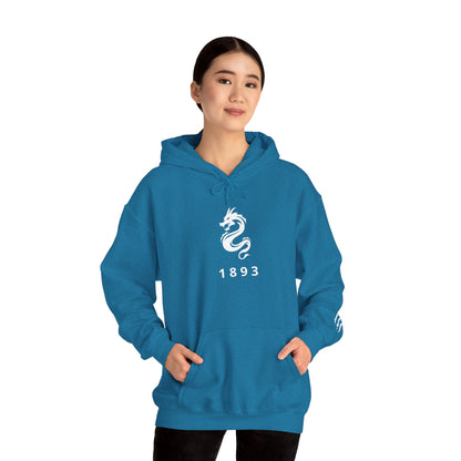 Spirit Dragon Unisex Hoodie with Dragon Claw Sleeve Print