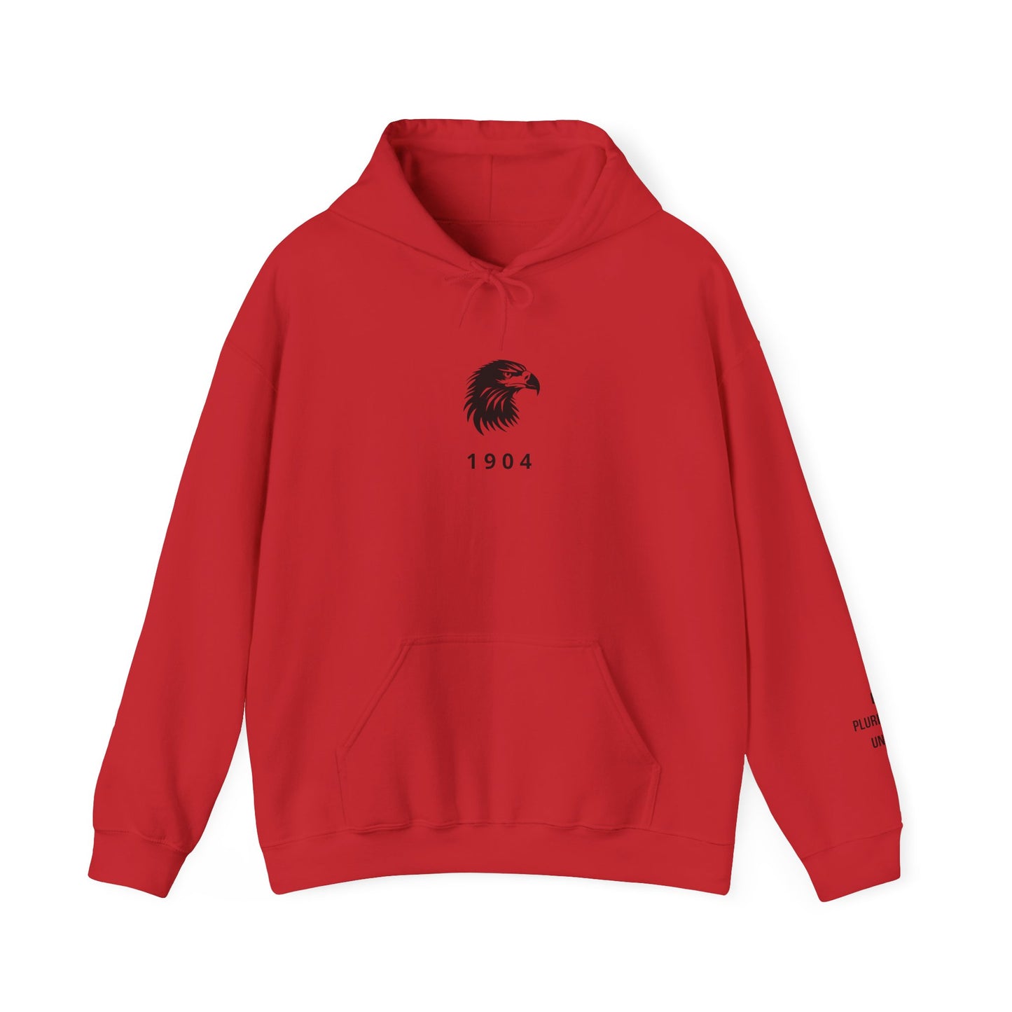 Spirit Eagle Unisex Hoodie with Motto Sleeve Print
