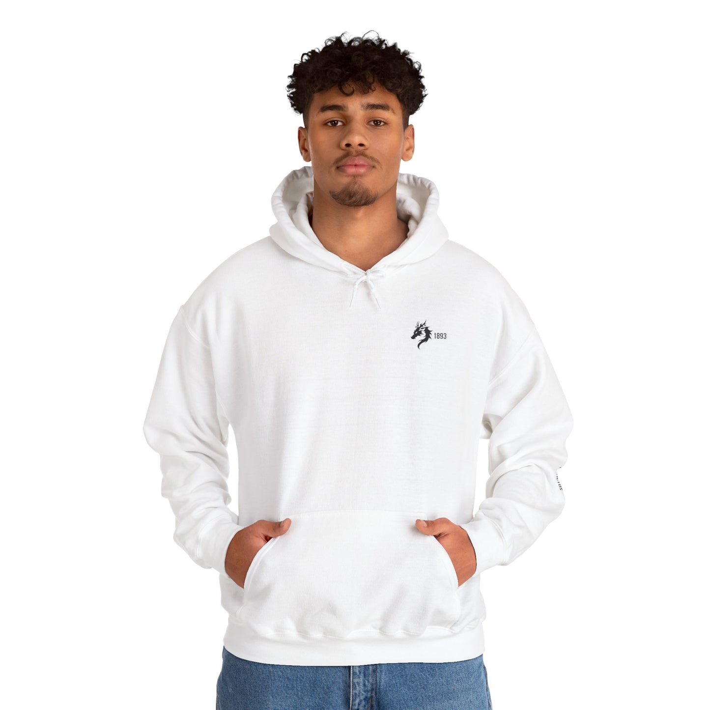 Origins 1893 Unisex Hoodie + Invictos Sleeve Detail
