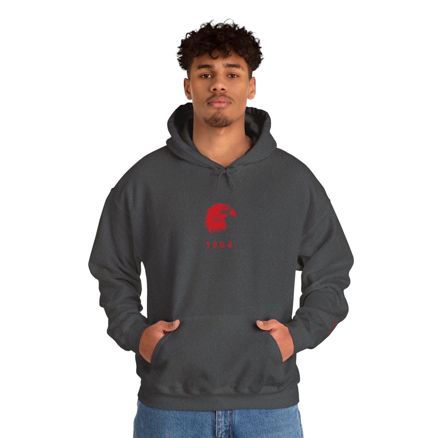 Spirit Eagle Unisex Hoodie with Motto Sleeve Print
