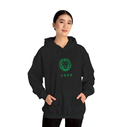 Spirit Lion Unisex Hoodie with Motto Sleeve Print