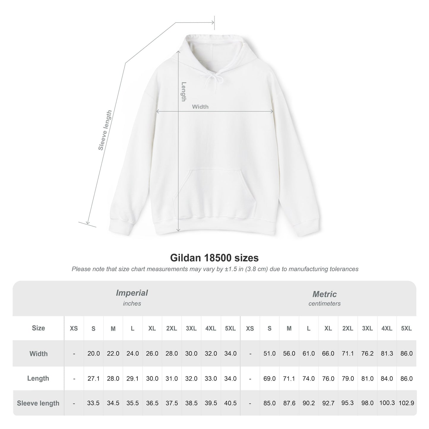 Spirit Lion Unisex Hoodie with Motto Sleeve Print