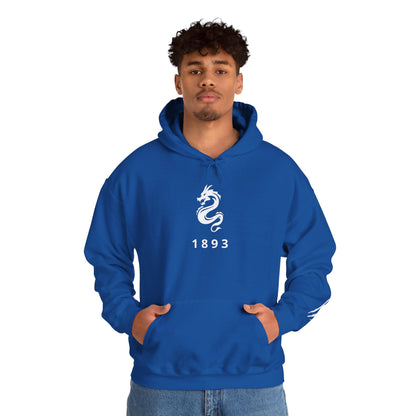 Spirit Dragon Unisex Hoodie with Dragon Claw Sleeve Print