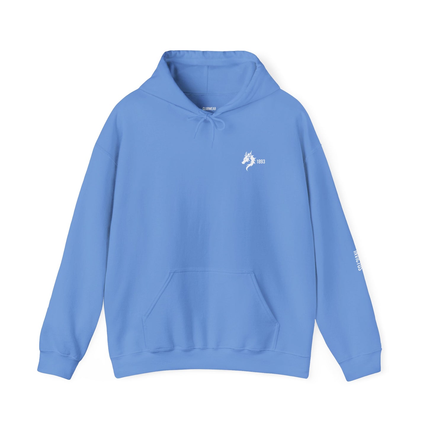 Origins 1893 Unisex Hoodie + Invictos Sleeve Detail