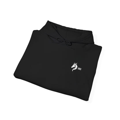 Origins 1893 Unisex Hoodie + Invictos Sleeve Detail
