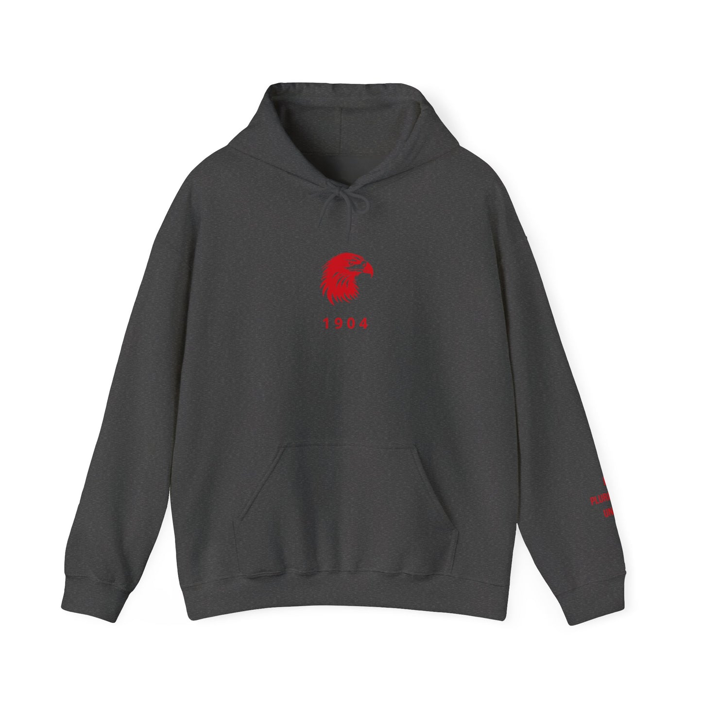 Spirit Eagle Unisex Hoodie with Motto Sleeve Print
