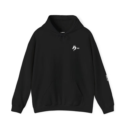Origins 1893 Unisex Hoodie + Invictos Sleeve Detail