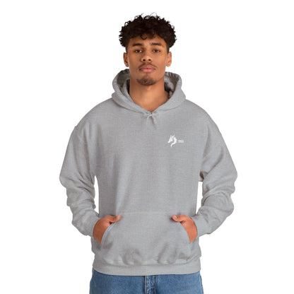 Origins 1893 Unisex Hoodie + Invictos Sleeve Detail