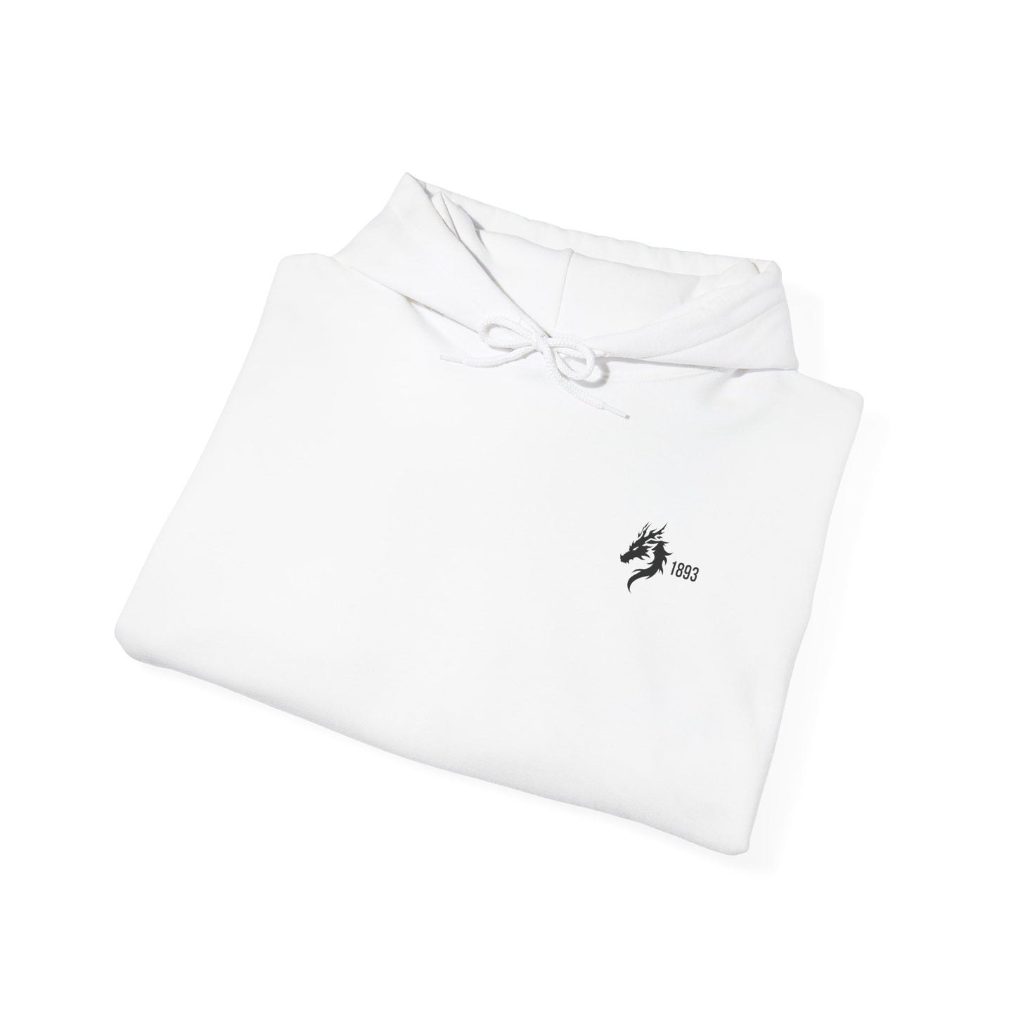 Origins 1893 Unisex Hoodie + Invictos Sleeve Detail