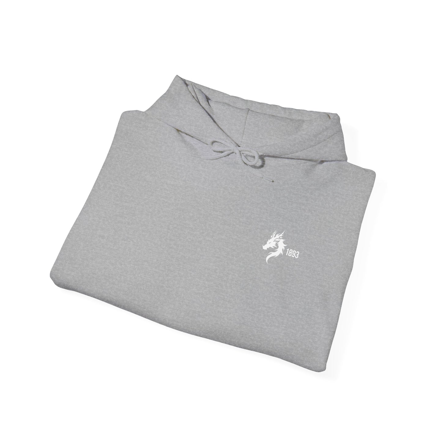 Origins 1893 Unisex Hoodie + Invictos Sleeve Detail