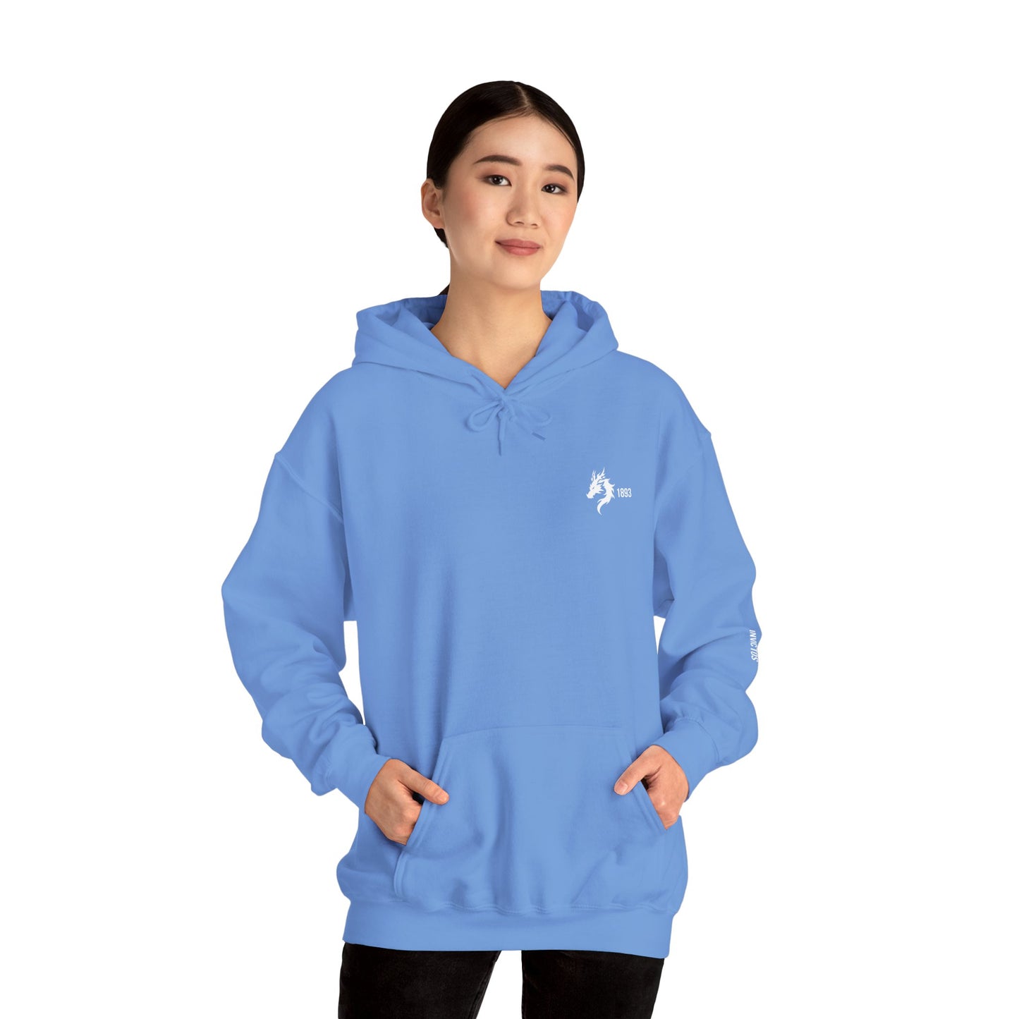Origins 1893 Unisex Hoodie + Invictos Sleeve Detail