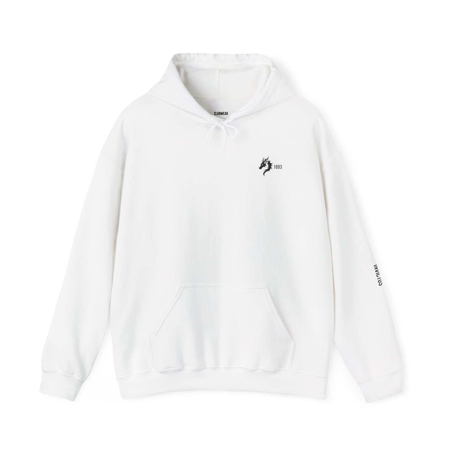 Origins 1893 Unisex Hoodie + Invictos Sleeve Detail