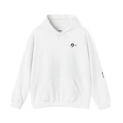 Origins 1893 Unisex Hoodie + Invictos Sleeve Detail