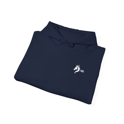 Origins 1893 Unisex Hoodie + Invictos Sleeve Detail