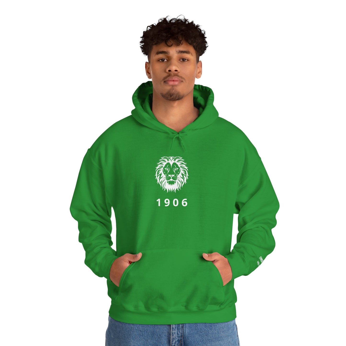 Spirit Lion Unisex Hoodie with Motto Sleeve Print