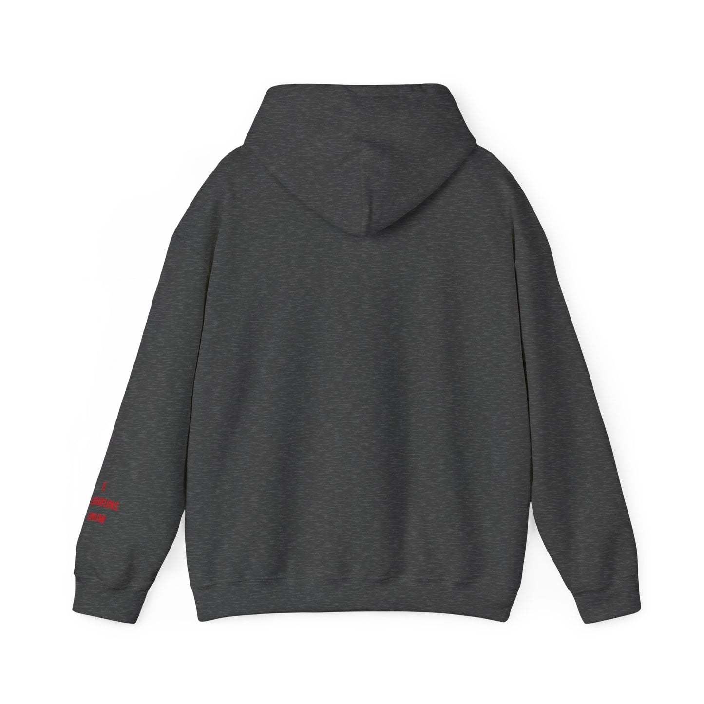 Spirit Eagle Unisex Hoodie with Motto Sleeve Print