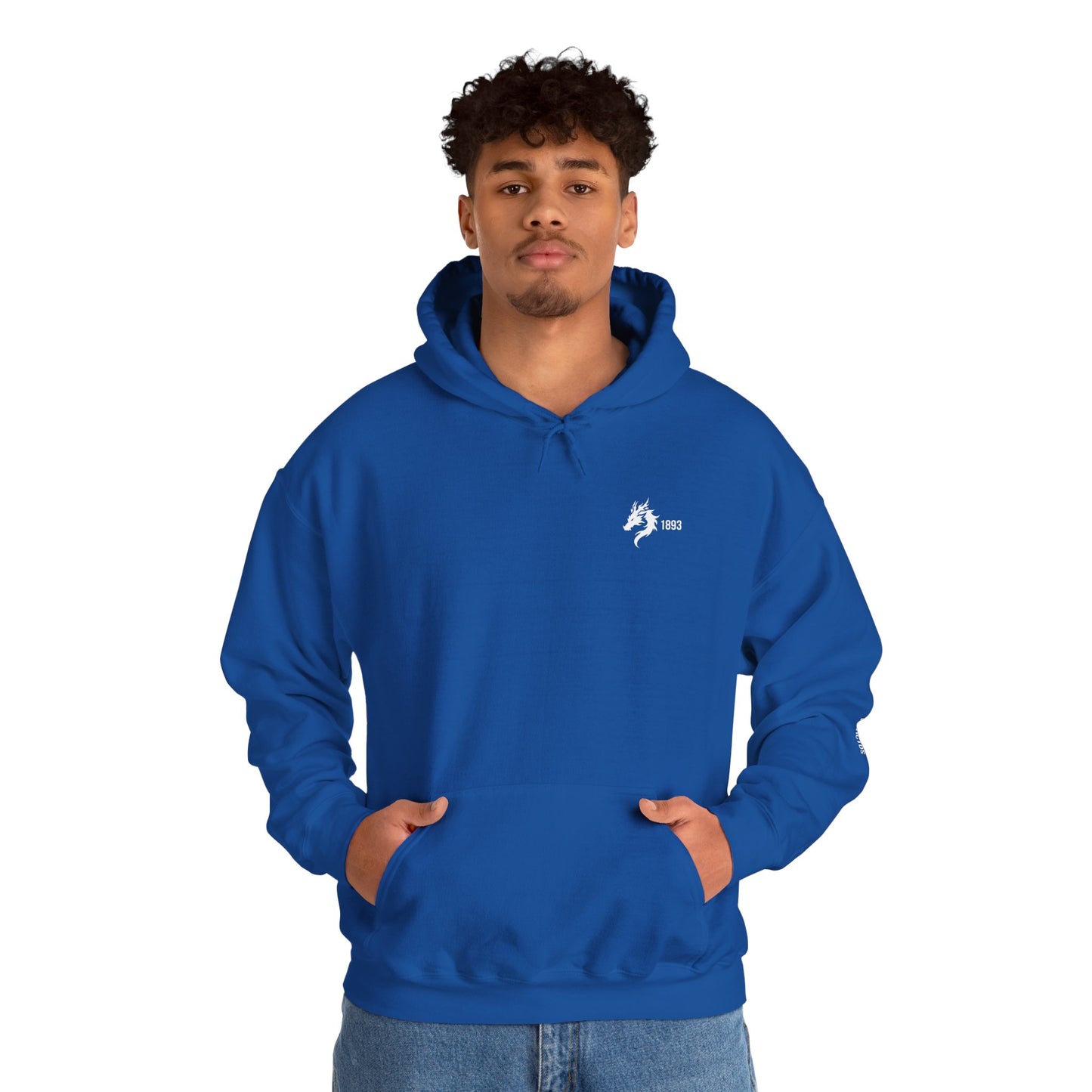 Origins 1893 Unisex Hoodie + Invictos Sleeve Detail