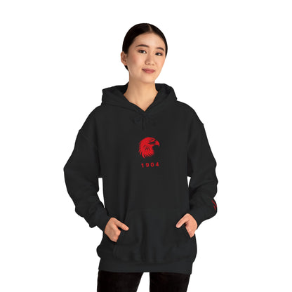 Spirit Eagle Unisex Hoodie with Motto Sleeve Print