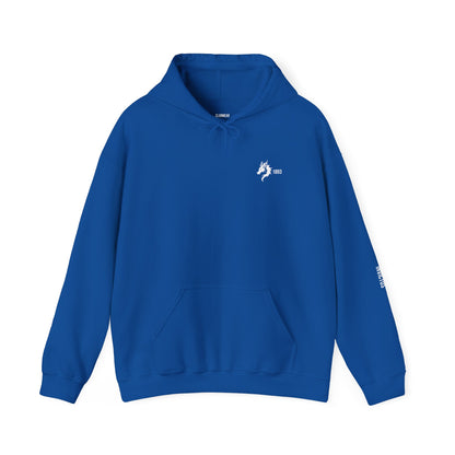 Origins 1893 Unisex Hoodie + Invictos Sleeve Detail