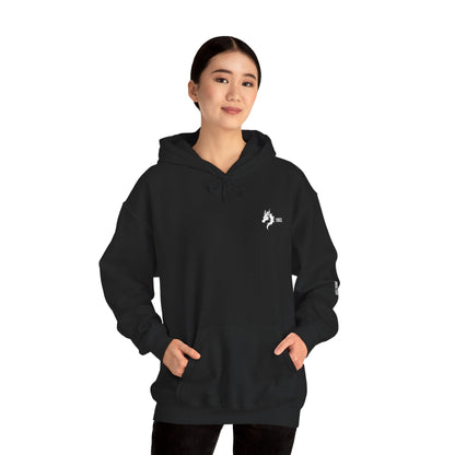 Origins 1893 Unisex Hoodie + Invictos Sleeve Detail